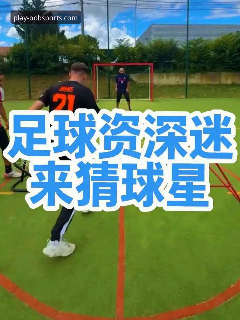 综合性运动平台怎么样 资深用户深度体验:半岛体育在线登录综合性运动平台实战心得