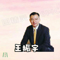 王振宇